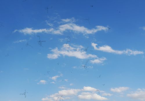 Ask the Doctor: What is Vitreous Detachment?